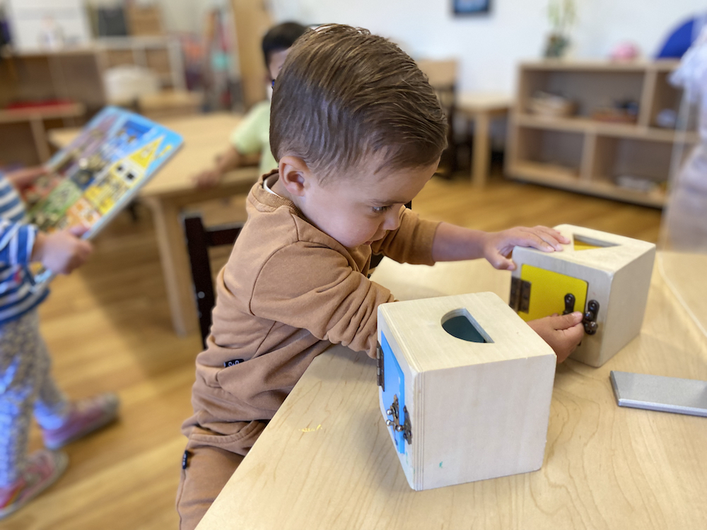 Curious Toddler in a Montessori classroom solving a problem
