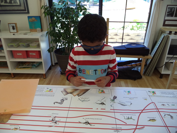 Child focusing at Lifetime Montessori Elementary School