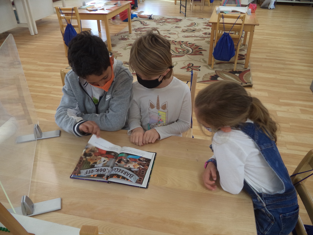 Three Montessori Elementary children learning together