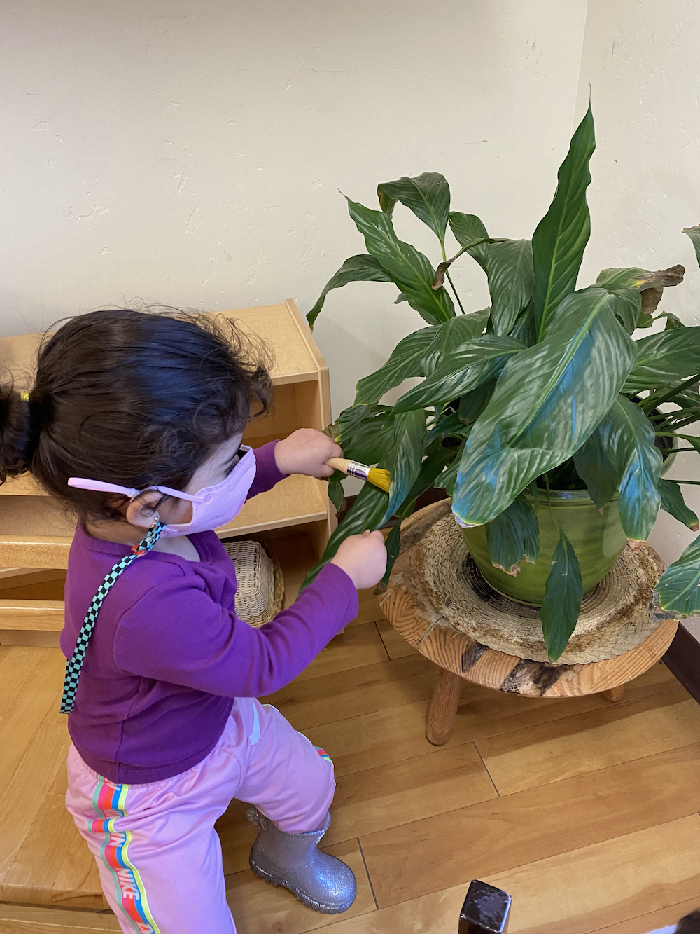 A Three Year-Old Learning How to Care for plants by cleaning and watering them