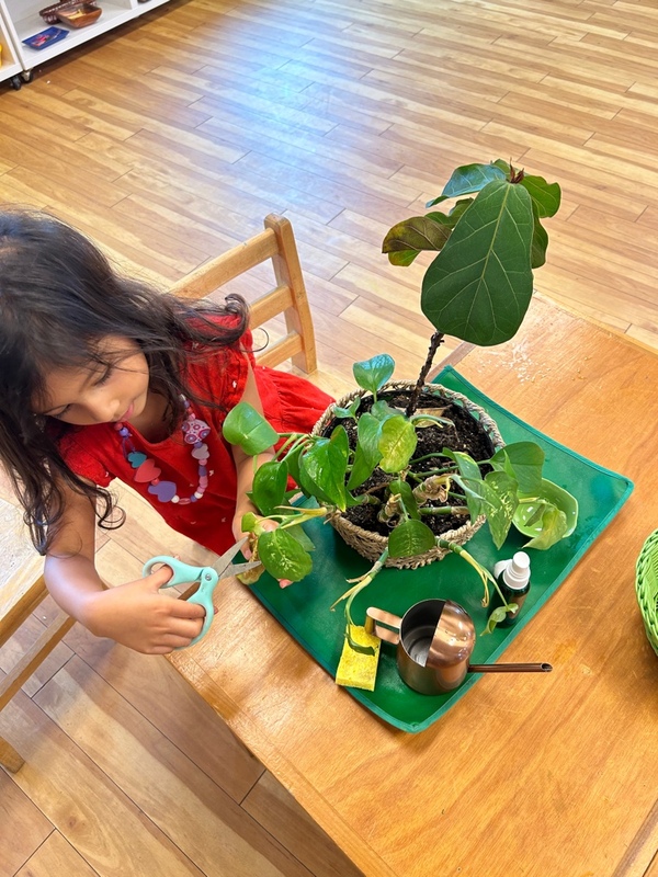 Practical Life activities in a Montessori Classroom in San Diego