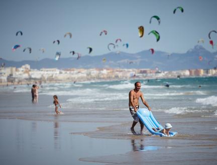 Family Beach Kites