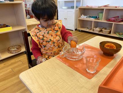 Child using freedom and responsibility juicing an orange independently at Lifetime Montessori School