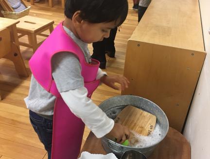 Toddler boy washing cutting board in a montessori classroom