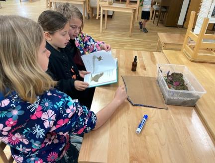 ChiMontessori School Advantages