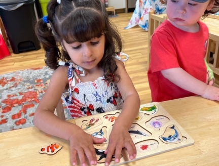 Primary through Kindergarten Children at Lifetime Montessori School 