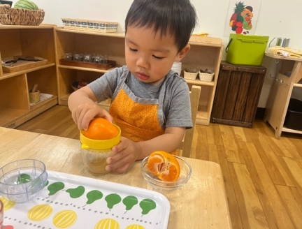 Mealtimes and Healthy Eating Habits at Lifetime Montessori School