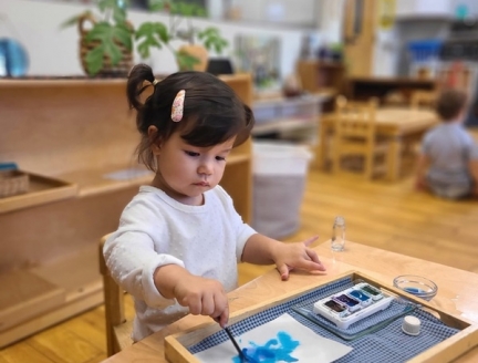 Prepared Environment in a Montessori School in San Diego