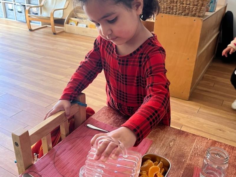 Understanding and Empowering Your Toddler