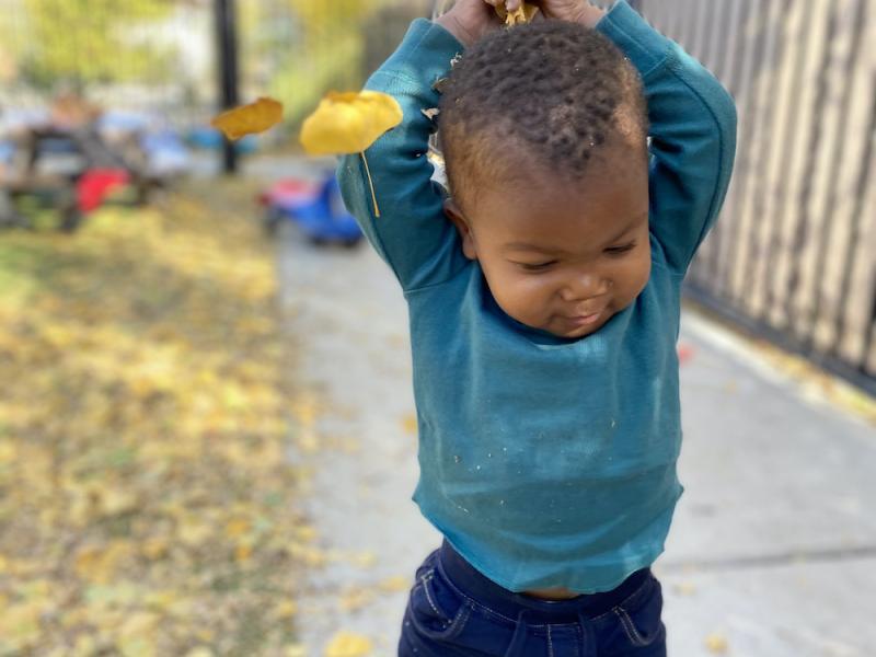 Toddler having fun playing in the leaves