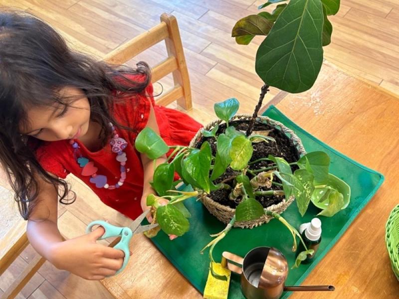 Practical Life activities in a Montessori Classroom in San Diego