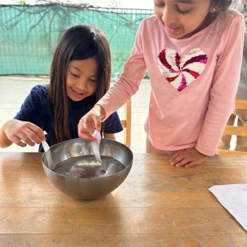 Elementary Children at Lifetime Montessori School in San Diego, Highly rated for Best Montessori School in San Diego