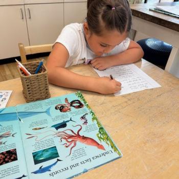 Elementary Child working on Science exercise at Lifetime Montessori School in San Diego, Highly rated for Best Montessori School in San Diego