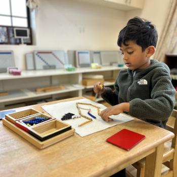 Elementary Child solving advanced math at Lifetime Montessori School in San Diego, Highly rated for Best Montessori School in San Diego