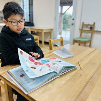 Elementary Child reading at Lifetime Montessori School in San Diego, Highly rated for Best Montessori School in San Diego