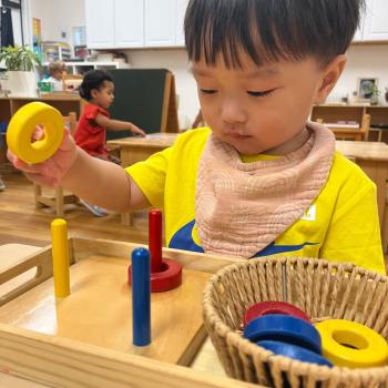 Toddler solving cylinder puzzle at Lifetime Montessori School