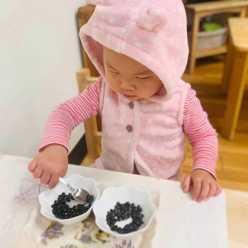 Toddler independently learning math by counting beans at Lifetime Montessori School 