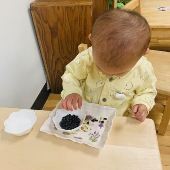 Toddler independently learning math by counting beans at Lifetime Montessori School 