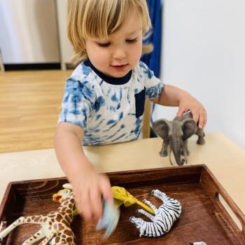 Toddler independently learning about animals at Lifetime Montessori School 