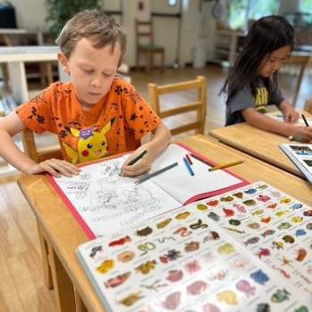 Elementary Children learning and working together at Lifetime Montessori School in San Diego