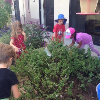 Montessori Elementary Children learning about plants