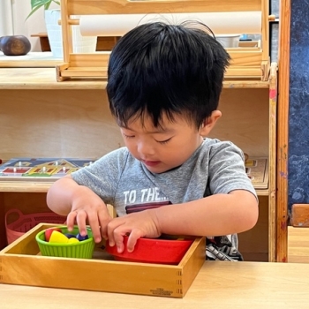 Toddler independently learning shapes and puzzles at Lifetime Montessori School 