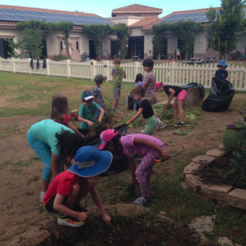 Elementary Children gardening at Lifetime Montessori School in San Diego