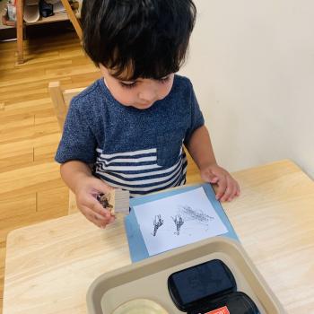  Toddler independently working on art at Lifetime Montessori School 
